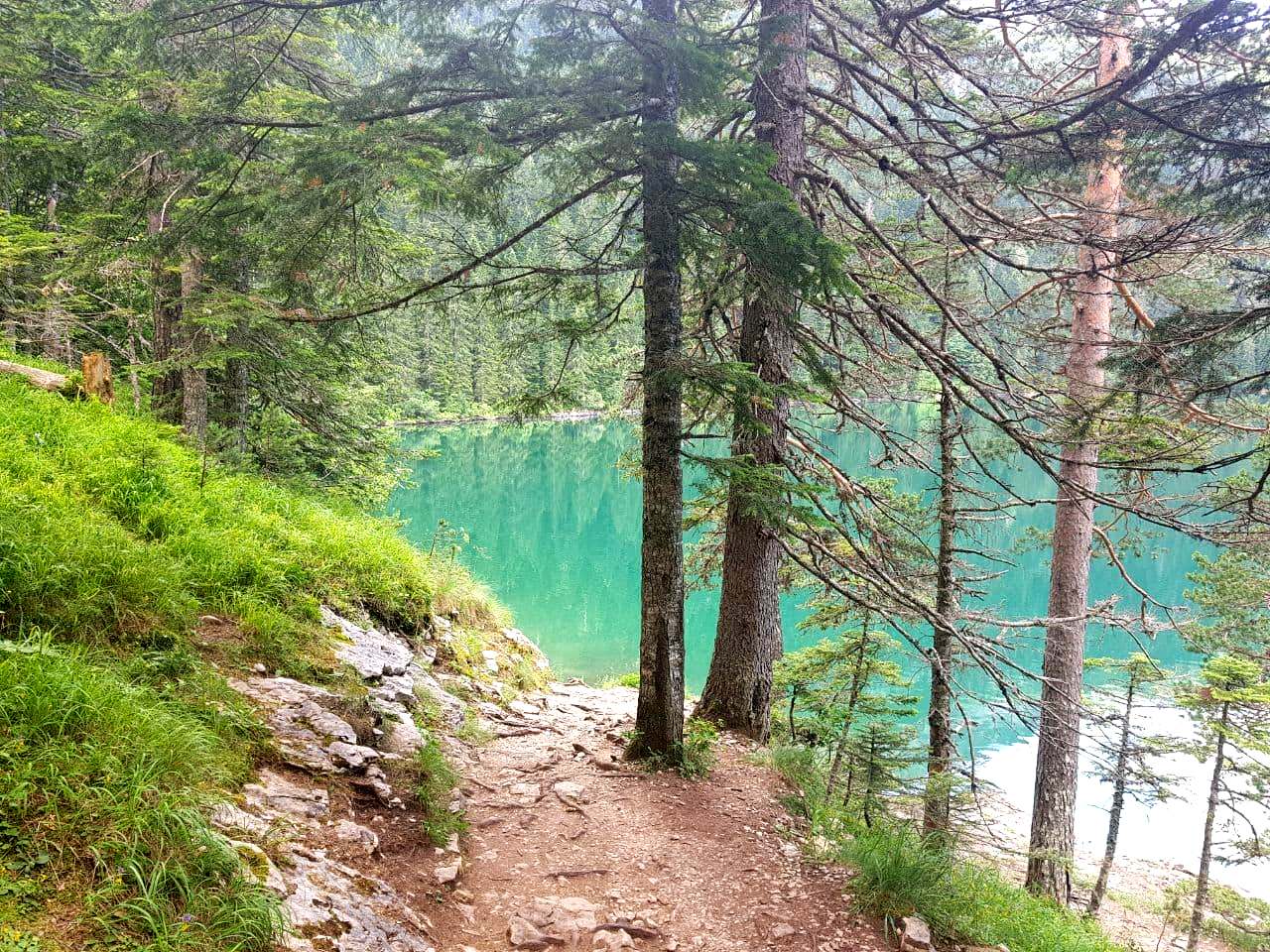 Краса та велич природи. Путівник по Дурмітору - одній з наймальовничіших локацій Чорногорії